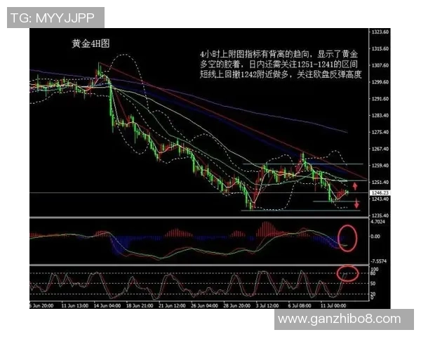 独家解析上海网球队比赛经验的差异与影响因素分析