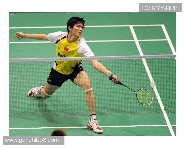 杨磊羽毛球人生的深度对话与成长之路探索