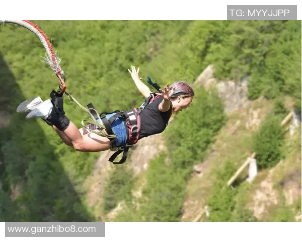 王静的羽毛球人生深度对话探索她的奋斗与梦想之路