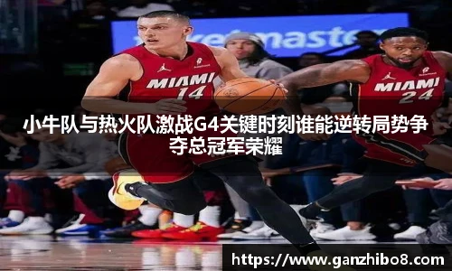 小牛队与热火队激战G4关键时刻谁能逆转局势争夺总冠军荣耀